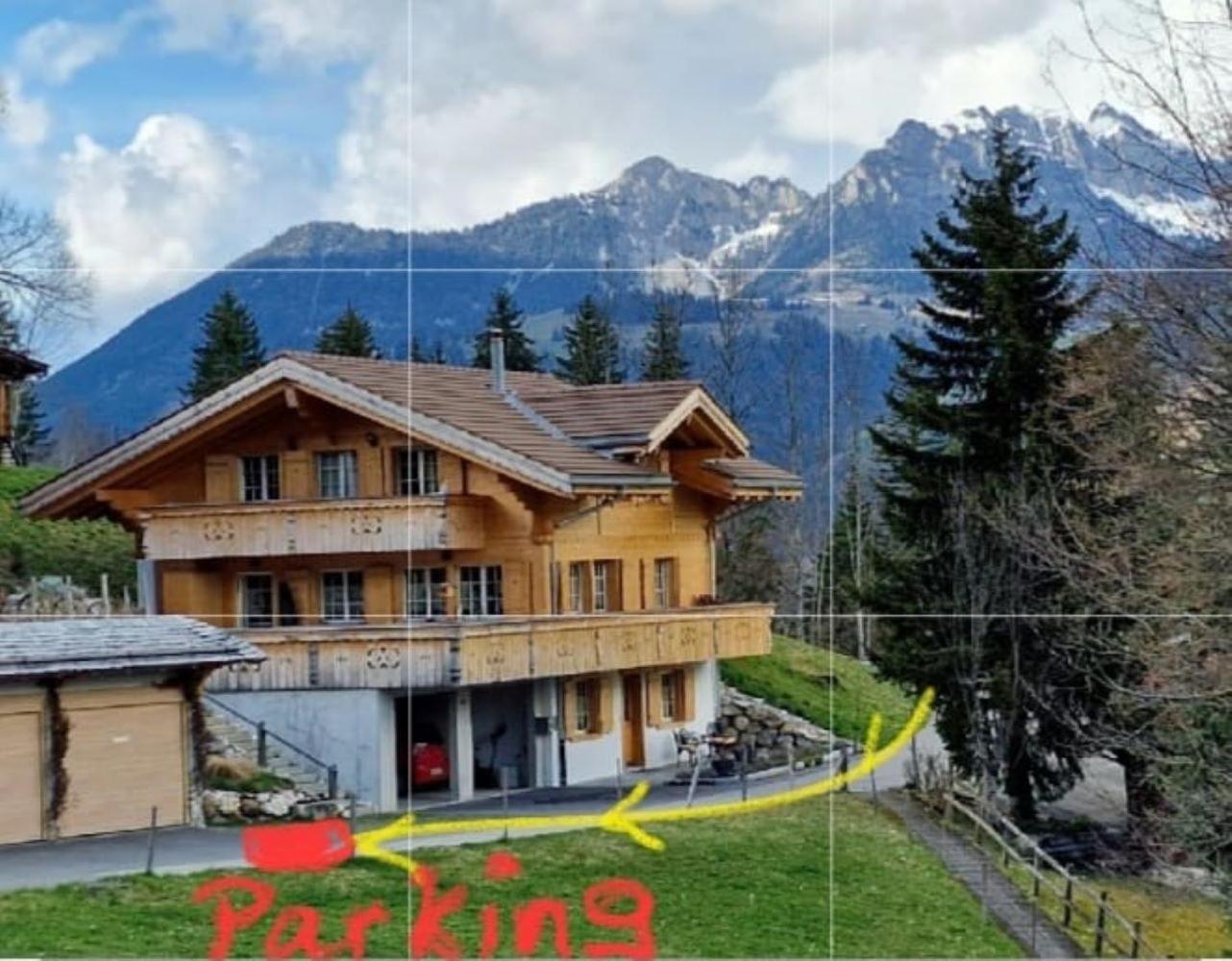 Large Deluxe Studio For 2 - Chalet Lovo Lenk Eksteriør bilde