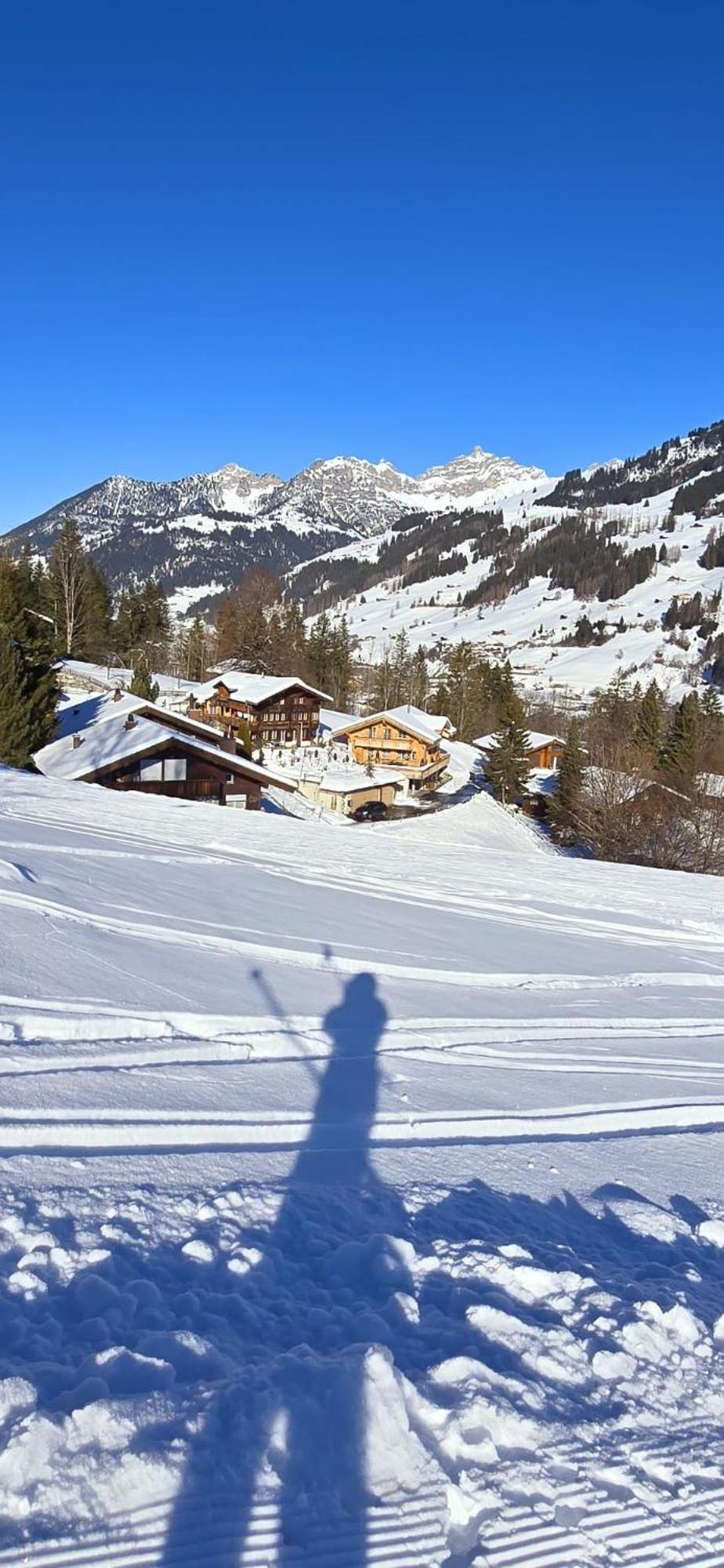 Large Deluxe Studio For 2 - Chalet Lovo Lenk Eksteriør bilde