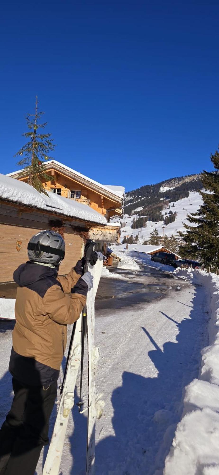 Large Deluxe Studio For 2 - Chalet Lovo Lenk Eksteriør bilde