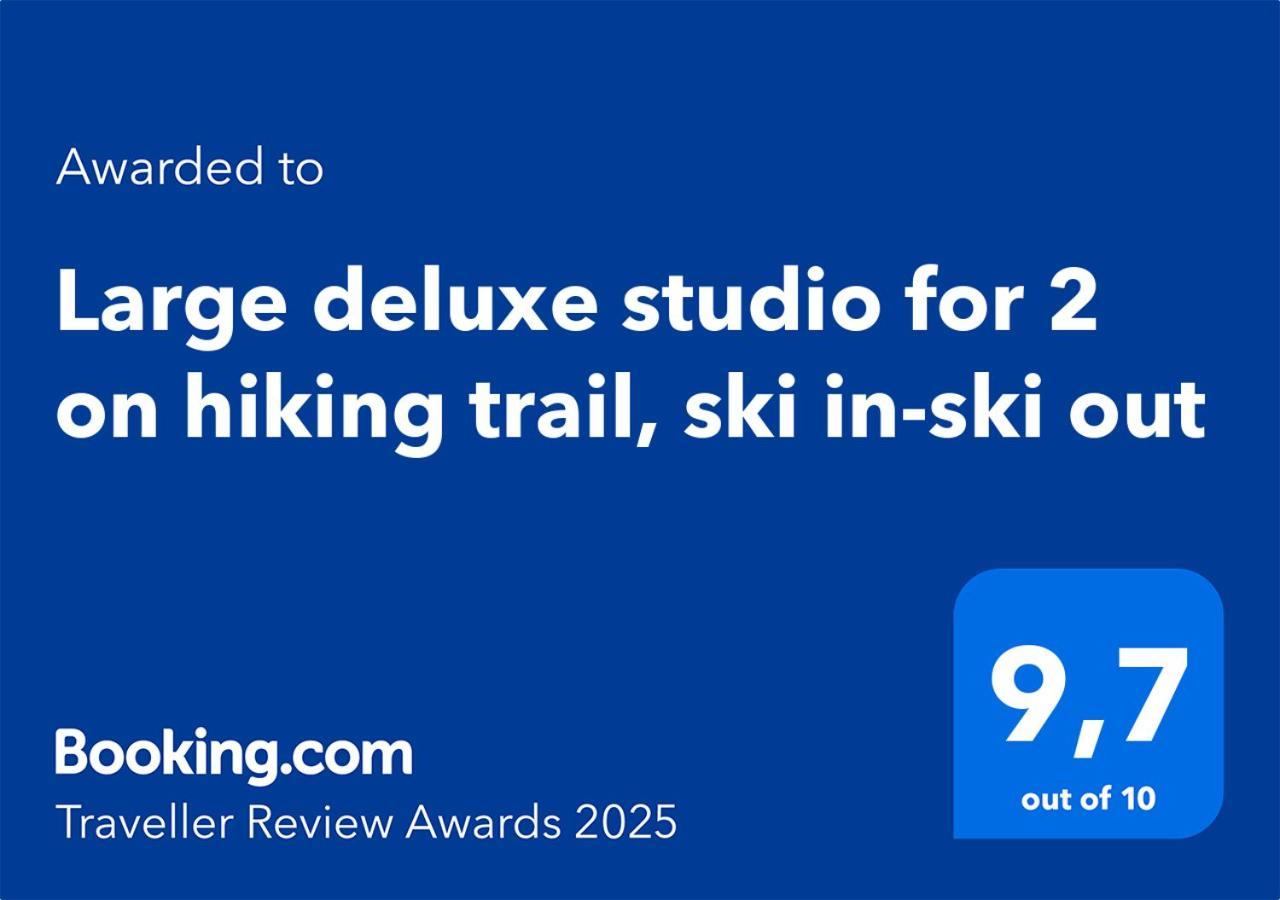 Large Deluxe Studio For 2 - Chalet Lovo Lenk Eksteriør bilde